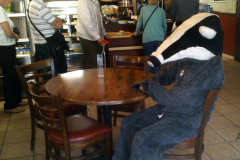 cafe-badger