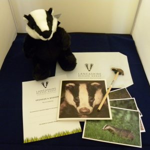 Sponsor a Lancashire Badger