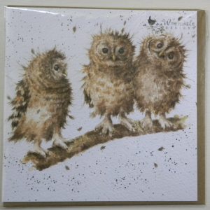 Wrendale Designs - You First - Tawny Owl Owlets - Greeting Card