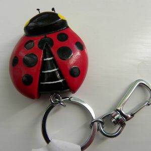 Handcrafted Wooden Ladybird Keyring