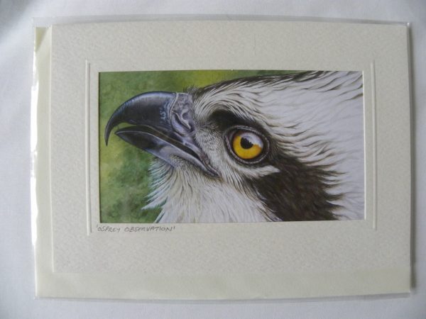 ARTful Creatures Blank Greeting Card Osprey Observation