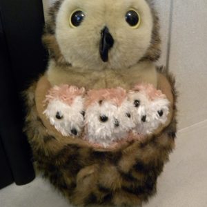 The Puppet Company - Hide-Away Puppets - Tawny Owl With Babies