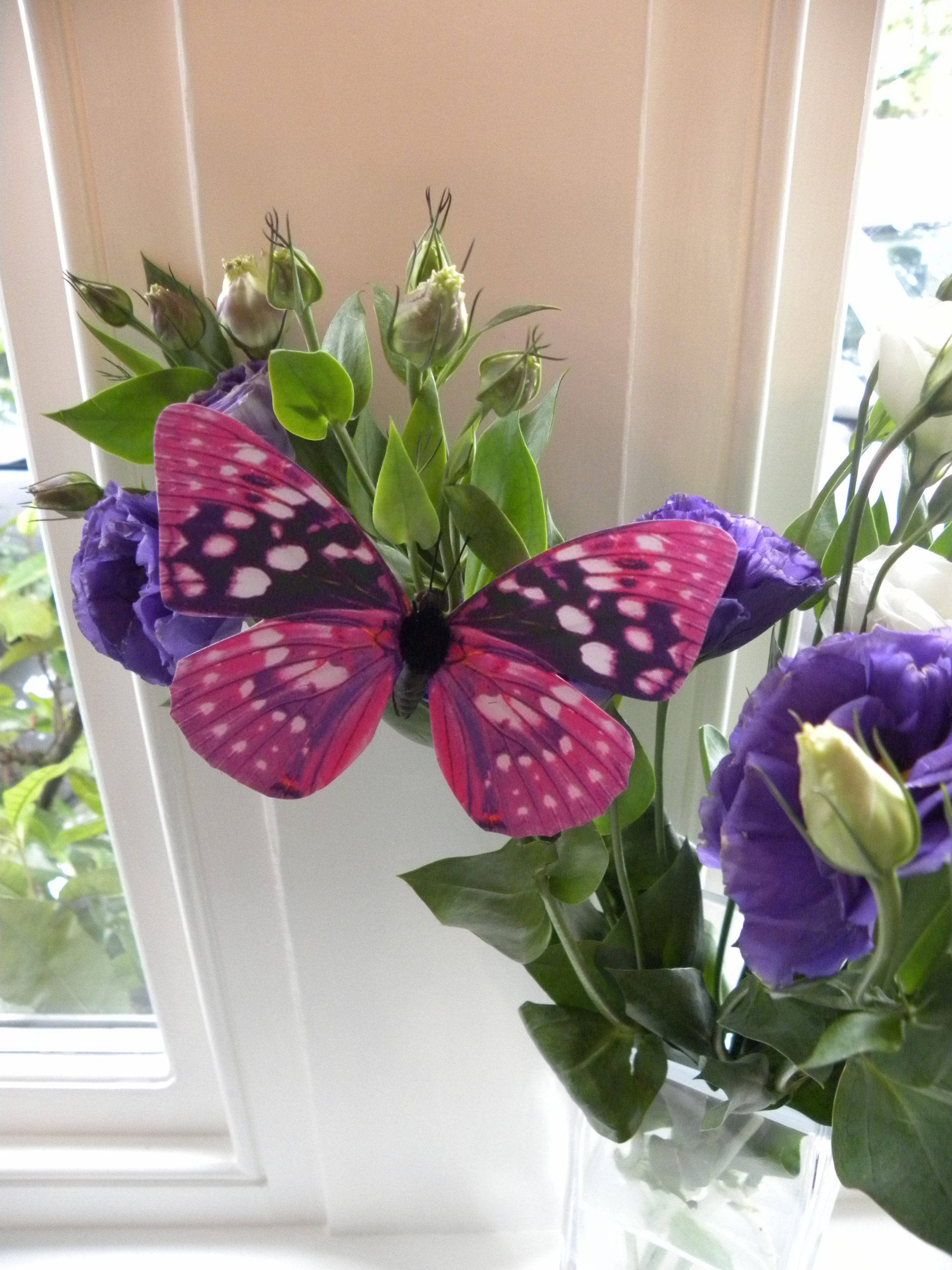 Magnetic Paper Butterflies - Various Colours