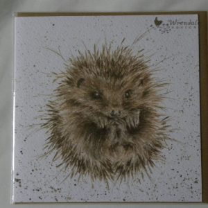 Wrendale Designs - Awakening - Hedgehog - Greeting Card