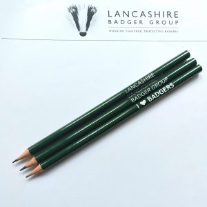 I Love Badgers Pencils