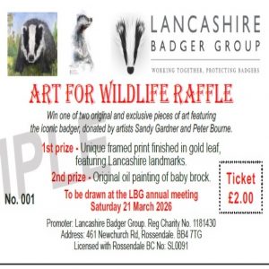 Art for Wildlife Raffle Tickets